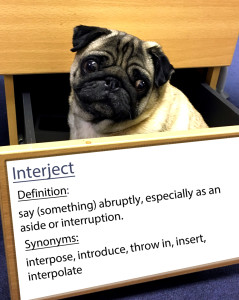 pug-word-of-the-day