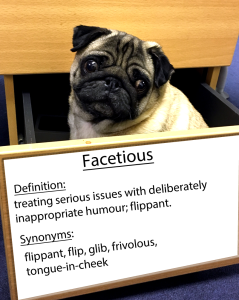 pug-word-of-the-day 30.fw